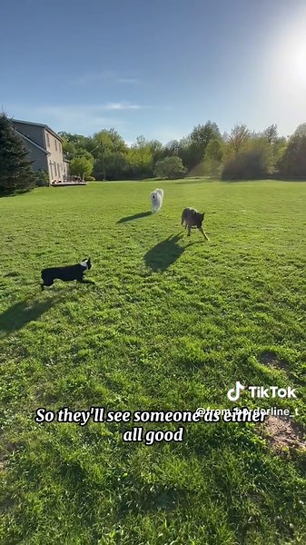 Splitting is a common behavior in Borderline Personality Disorder (BPD) and involves seeing people and situations as all good or all bad. This black-and-white thinking is a defense mechanism to cope with intense emotions. We simplify things to manage our feelings, but this leads to unrealistic expectations and disconnects because others don't share our exact thoughts and feelings. I used to expect people to read my mind and meet my needs without communication. If they didn't, I would lose sight 