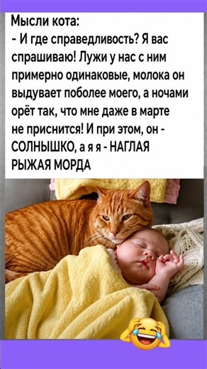 Мысли рыжего кота #смех #юмор #мем #смешновидео #прикол