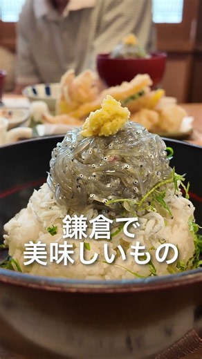 鎌倉のグルメと景色が素晴らしかった｜本編公開中 #60代 #旅行 #あじさい
