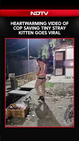 Heartwarming Video Of Cop Saving Tiny Stray Kitten Goes Viral