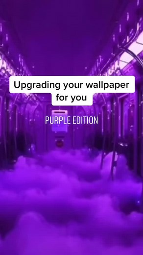 Daily posts on TikTok