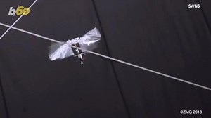 Flying Insect-Like Robot is Now a Reality