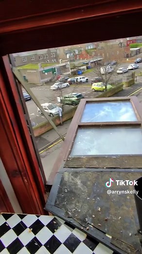 Exciting Baby Seagull Season Approaches