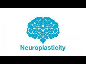 ALINEON-et-VOUS: Neuroplasticité (Sous-titres Français)