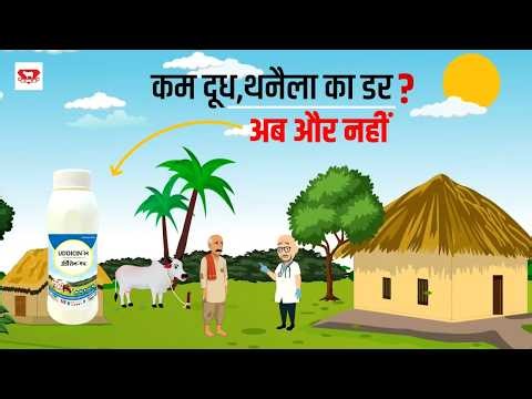 दूध की धार कम? थनैला आने से पहले ये जान लें | Uddicin-H | Dairy Tips