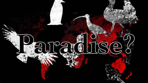 【鸟类保护手书】the other side of paradise