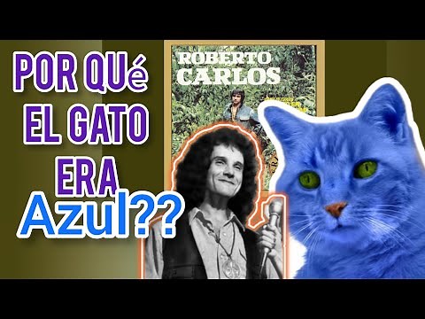 "EL GATO QUE ESTÁ TRISTE Y AZUL": Historia y significado de la canción de ROBERTO CARLOS