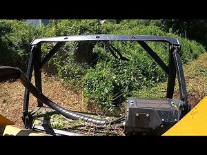 EASEMENT DISASTER REDO! 3 YEARS OF NEGLECT RESULTS IN MASSIVE OVERGROWTH!