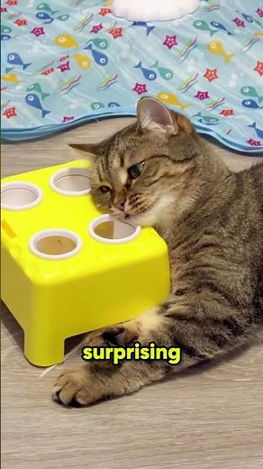 Why You Need To Watch Your Cat’s Brain Age 🐾 #cats #petcare #science