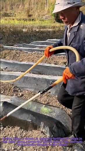 Fertilizer Application in Farming: Farmer Nourishes Crops for Optimal Growth