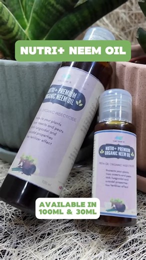 Plant Care 101: What is Neem Oil? 🤔🌱 Here’s a quick video explaining what neem oil is, its benefits, and how to use it to keep your plants happy and pest-free 💦🍃 Available in 100ml & 30ml 🛍️ | Plant Culture PH