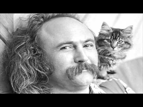David Crosby ~ For Free (4/19/87)