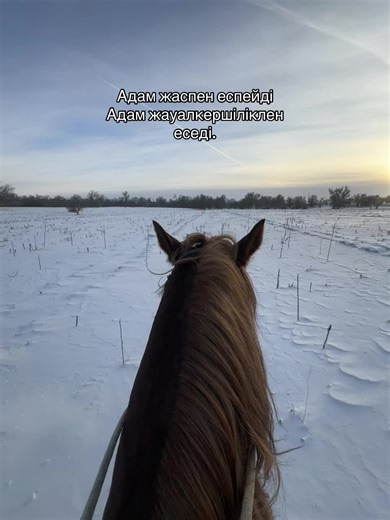 😍😍😍 #реки #house #рекомендации