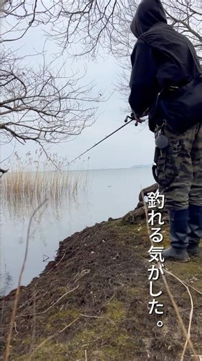 釣れる気がしただけだった。