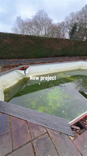 Transforming an Infinity Pool: A Big New Project!
