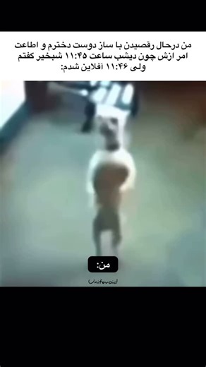 Unite on Instagram‎: "اقا ما یه غلطی کردیم ولمون کن دیگه😂 - - - #girlfriend #cuple #love #lover #fun #meme #joke #mem #boyfriend #bf #gf #fyp"‎