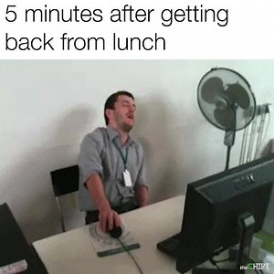 582K views · 9.8K reactions | I can't  | theCHIVE | Facebook