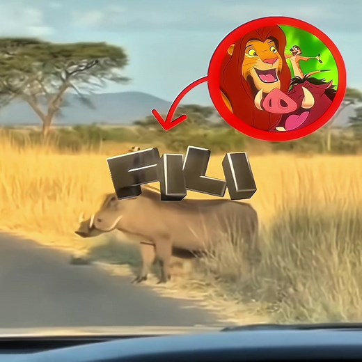 Simba, Pumbaa and Timon in Real Life🤩 I| SONG: MELODIA CAVALGADA - Slowed || Ib: Goat @𝐑 𝐎 𝐒 𝐒 #simba #edit #lionking #trending #funk