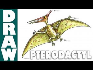 How to Draw a Pterodactyl