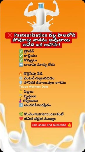Pasteurization వల్ల పాలలోని Nutrients పోతాయా? నిజం ఇదే! 🛡️