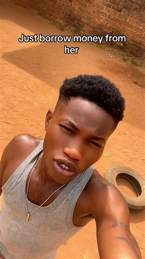 Understanding Money Borrowing Dynamics