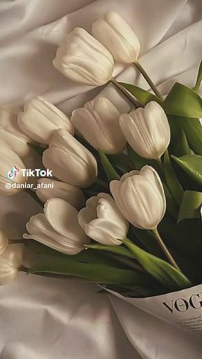 Keindahan Bunga Tulip: Puisi Alam yang Menggetarkan Jiwa