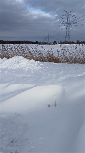 Winter 2026 Snow Disaster: Managing Heavy Snowfalls