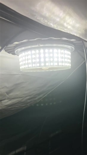 #greenhouse #daylightsavings #adulting #work #seasonaldepression