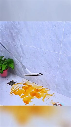 Essential Items for Everyday Living