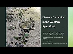 Disease Dynamics in the Northern Population of the Western Spadefoot