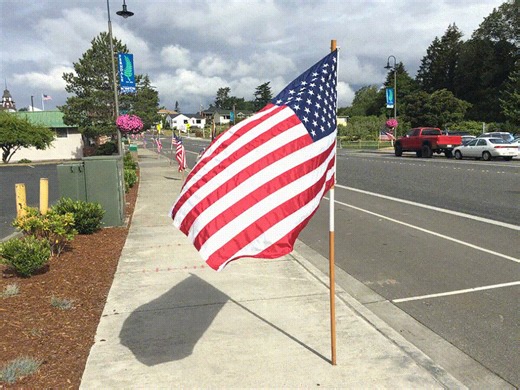 31 reactions | Tomorrow, June 14th, is Flag Day and we at the City want to extend our thanks and appreciation to the Ferndale Kiwanis Club for their work lining our streets with flags on special occasions. If you would like to learn more about traditional ways in which we give respect to the United States Flag, here are some Dos and Don'ts courtesy of the U.S. Flag Code. https://www.military.com/flag-day/flag-ettiquette-dos-and-donts.html | City of Ferndale (Government) | Facebook
