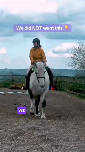 5.5K views · 1.1K reactions | This is Lily! When we first started...