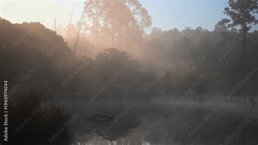 Video of a pond in the forest, with fog covering the water's surface in the morning.