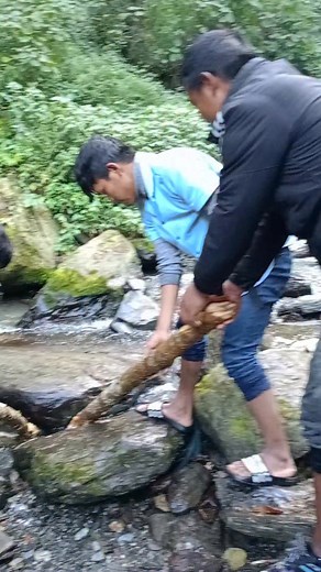 #pahahunting #toad #hunting #villagelife 🐸🐸 | Accent Magar