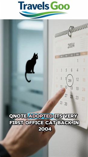 What if the secret to a happier, less stressful workplace… was a cat sitting on your keyboard? | Travels Goo