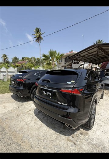 Double the Trouble: Lexus Car Wash Experience
