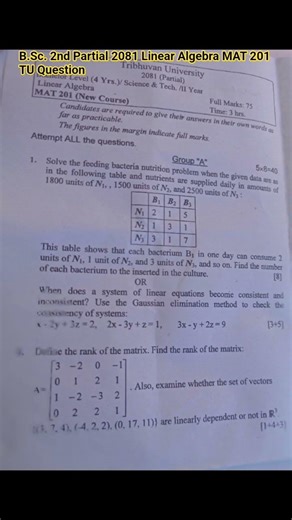 2081 #bsc ll #partial #exam #linear #algebra #tu #question #paper #shorts