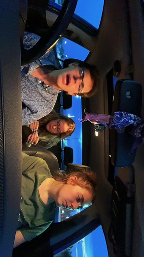 Experience the Chewy Sensation of 5 Gum