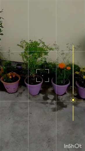 gaane me dam hai 😍😍 #song