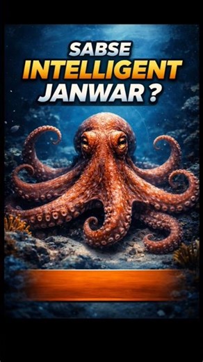Smartest Ocean Creature? #shorts #octopus