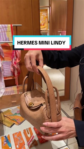 3 ways to carry mini lindy Hermes #hermes #hermès #minilindy #hermeslindymini