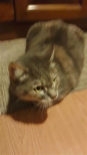 Clotilde Marino on Reels