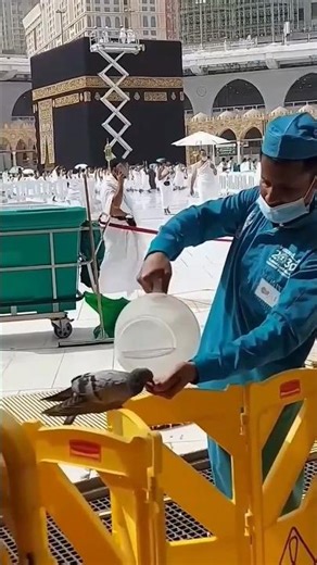 Surah Rahman Ki Tilawat | Qaseeda Burda shareef | Dollar Rate Today | Low Price Mobile New |