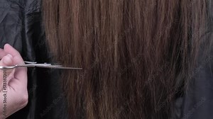 Hairdresser scissoring split ends female client's hair. Close-up view of long hair, comb, scissors, and professional hands. Stylist occupation