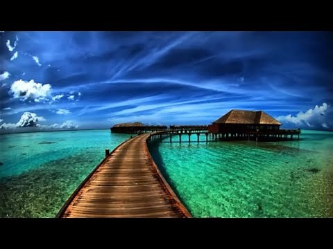 4 Hours of Peaceful & Relaxing Instrumental Music | Long Playlist | BetterSleep