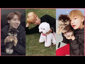 BTS Cute Animals Compilation