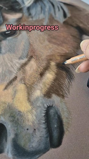 Drawing the chin hairs today....🐴✏️ It's all in the details! Curious how it turns out? Follow me for more magic and updates on this commission 💫 #realismeart #equinelove #horsedrawing #encouragement #horselife #pasteldrawing #horselove #art #PastelArtwork #equine #workinprogress | Arty By Esther