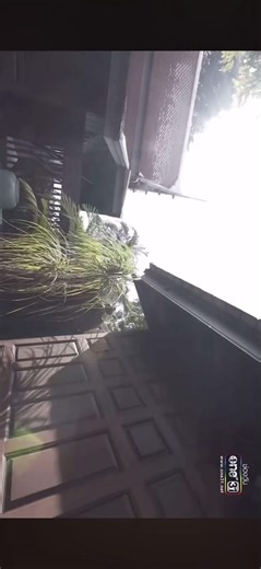 Mei you are only mine!! #ชีวิตเพื่อฆ่าหัวใจเพื่อเธอ #yuri #pympan