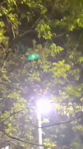 The Ultimate Night Cityscape Experience