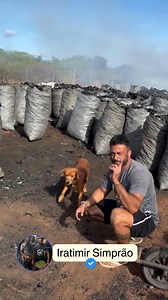 111K views · 9K reactions | Por isso que sou apaixonado por animais!!!! Vc trata deles um dia e reconhecido por resto da vida!!! Comenta aqui quem gosta de animal  Sou Simprão de tudo #caminhao #sousimpraodetudo #horariodosmeninos #viral #viral #carvoaria #fblifestyle #fb #viral #viral #fbreelsfypシ゚ #mecanica | Iratimir Simprão | Facebook